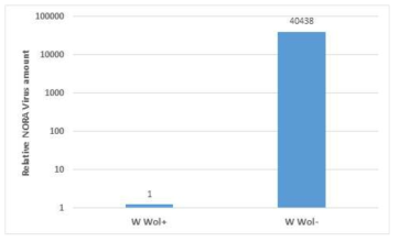 월바키아 유무 초파리의 NORA 바이러스의 양 무균화를 거친 후 경구 투여를 통하여 NORA 바이러스를 감염시키고 15일 후에 초파리의 장에서 검출된 바이러스양을 나타냄