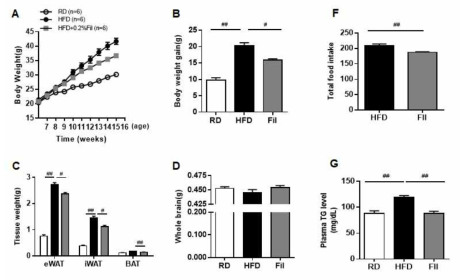 Effect of filbertone on body weight, food intake, and plasma TG level. C57BL/6 mice were fed an HFD with or without 0.2% filbertone (Fil) for 9 weeks. (A, B) Body weight gain. (C) Weight of adipose tissues eWAT(epididymal white adipose tissue, iWAT(inguinal WAT), BAT(brown adipose tissue). (D) Weight of whole brain. (F) Food intake. (G) Plasma TG level. Results are means ± SEM. *P<0.05, **P<0.01, #P<0.005, ##P<0.001 compared with HFD. RD n=6~7, HFD n=6~7, Fil n=6~7. RD : regular diet, HFD : high fat diet(60%), Fil : high fat diet + 0.2% filbertone, TG : triglyceride