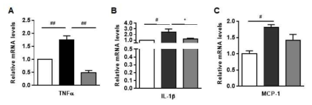 Effect of filbertone on expression of cytokines in hypothalamus. C57BL/6 mice were fed an HFD with or without 0.2% filbertone (Fil) for 9 weeks. Expression of inflammatory cytokines in hypothalamus. (A) TNF-α, (B) IL-1 and, (C) MCP-1. Results are means ± SEM. *P<0.05, **P<0.01, #P<0.005, ##P<0.001 compared with HFD. RD n=6~7, HFD n=5~7, Fil n=5~7. TNFá : tumor necrosis factor alpha, IL-1beta : interleukin 1 beta, MCP-1 : monocyte chemoattractant protein-1