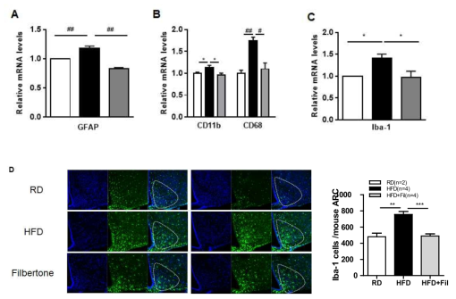 Effect of filbertone on expression of gliosis markers. C57BL/6 mice were fed an HFD with or without 0.2% filbertone (Fil) for 9 weeks. Expression of gliosis markers (A) GFAP(astrocytic activation marker) and (B, C) CD11b, CD68, Iba-1 (microglial activation markers). (D) Iba-1 expression in hypothalamus. Representative images of microglia activation identified by immunofluorescent detection of Iba-1 protein and DAPI (merge) in coronal sections of hypothalamus. Results are means ± SEM. *P<0.05, **P<0.01, #P<0.005, ##P<0.001 compared with HFD. RD n= 6~7, HFD n= 4~7, Fil n=5~7. GFAP : glial fibrillary acidic protein, CD11b : cluster of differentiation molecule 11B, CD68 : cluster of differentiation 68, Iba-1 : allograft inflammatory factor 1