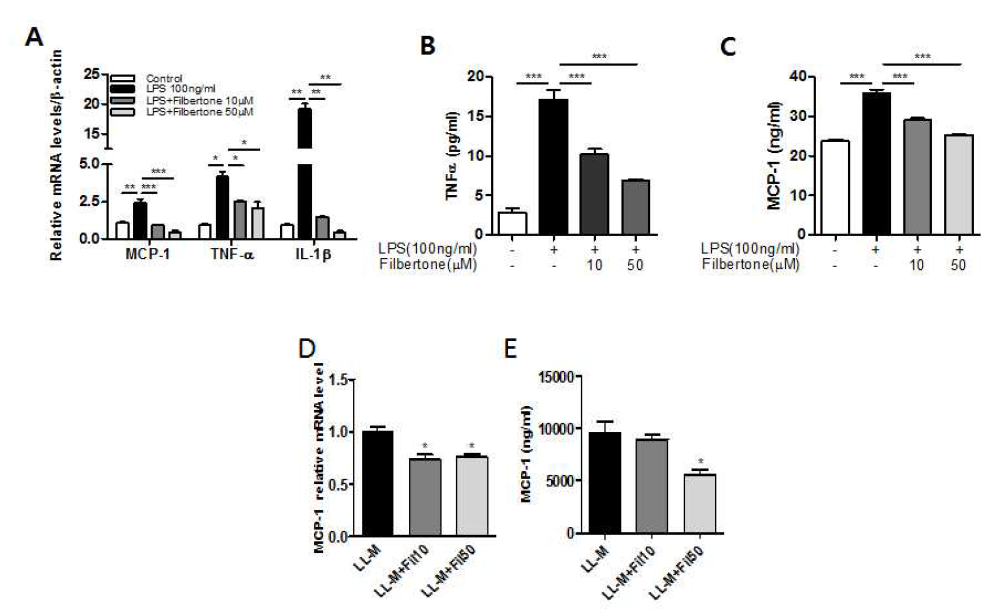 Effect of filbertone on inflammatory response in BV2. BV2 microglia were simultaneously treated with LPS (100ng/ml) and filbertone (10,50μM). (A) The transcription levels of inflammatory cytokines (MCP-1, TNF-α, IL-1β) were measured by RT-PCR analysis. (B,C) Levels of TNFα and MCP-1 production in LPS-stimulated microglia. (D.E) Level of MCP-1 mRNA and the protein in palmitate-treated microglia. Data are the MEAN ± SEM of three independent experiments performed in triple. *P<0.05, **P<0.01, ***P<0.001 compared to control