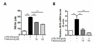 Effects of filbertone on inflammatory signaling in LPS-stimulated BV2 microglia. BV2 microglia were simultaneously treated with LPS (100ng/ml) and filbertone (10,50μM). (A) The amount of nitrite accumulation level was determined by Griess reaction in the culture medium. (B) The transcription level of iNOS was measured by RT-PCR analysis. Data are the MEAN ± SEM of three independent experiments performed in triple. *P<0.05, **P<0.01, ***P<0.001 compared to control