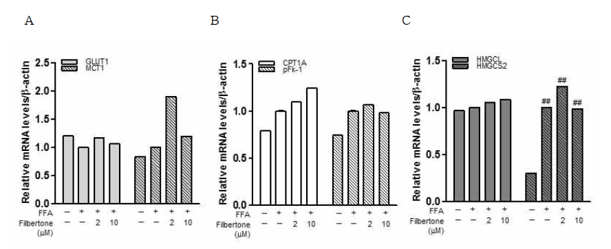 Effect of filbertone on metabolic genes expression in lipid-laden astrocytes. Astrocytes were treated with palmitate (lipid-laden astrocytes) in the presence of filbertone (10,50μM). The transcription levels of metabolic genes were measured by RT-PCR analysis. A) CPT1a and pFK, B) GLUT1 and MCT1, C) HMGCL and HMGCS2. ##P < 0.001 compared to control. CPT1A: carnitine Palmitoyltransferase; pFk-1: Phospho fructokinase 1; GLUT1:glucose transporter family 1; MCT1: monocarboxylate transporter 1; HMGCL: 3-hydroxy-3-methylglutryl-CoA lyase; HMGCS2: 3-hydroxy-3-methylglutryl-CoA synthase 2