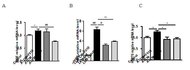 Protective effect of filbertone on ATCM-induced neuron injury. N1 neuron cell were stimulated with or without ATCM (A) or LLM (B) in the presence or absence of filbertone (10, 50 uM) for 48 or 72 h. The transcript levels of neuron damage markers (NSE and Hsp 70) were determined by RT-PCR. All data are represented as mean ± SEM of three independent experiments performed in duplicate. *p < 0.05, **p < 0.01, #p < 0.005, ##p < 0.001 compared to control. ATCM: Adipose tissue-conditioned medium; LLM: Lipid-laden conditioned medium. NSE: neuron-specific enolase; Hsp70: heat shock protein 70