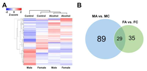 대조군과 알코올 투여군 간 다르게 발현된 miRNA
