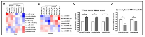 알코올에 의해 유의하게 발현 변화된 miRNA