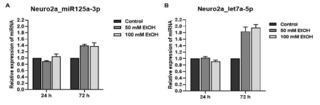 Neuro2a 세포에서 알코올 농도 및 시간별 miRNA의 발현 양상