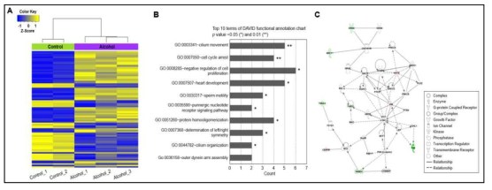 대조군과 알코올 투여군 간 발현 변화된 유전자 및 유전자의 기능