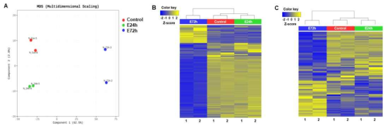 각 샘플별 발현 변화된 전사체 및 lncRNA의 hierachical clustering