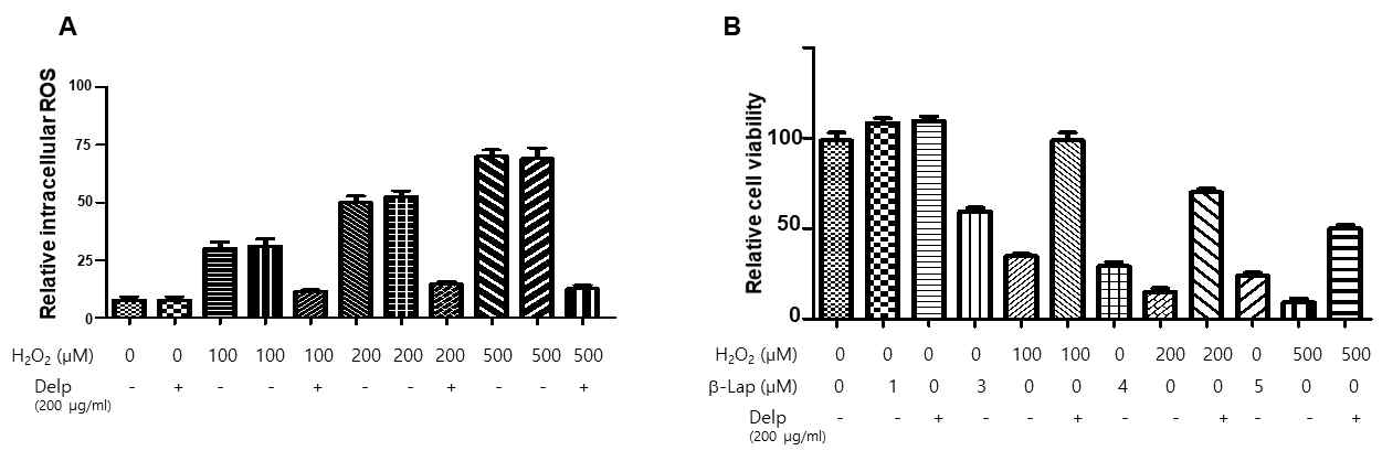 델피니딘에 의한 산화스트레스 억제 효과 (A) 연골세포에서 H2O2처리 후 세포 내 활성산소 및 델피니딘에 의한 억제:DCFDA cellular ROS detection assay. (B) 델피니딘에 의한 세포생존율 억제 효과:CCK8 assay