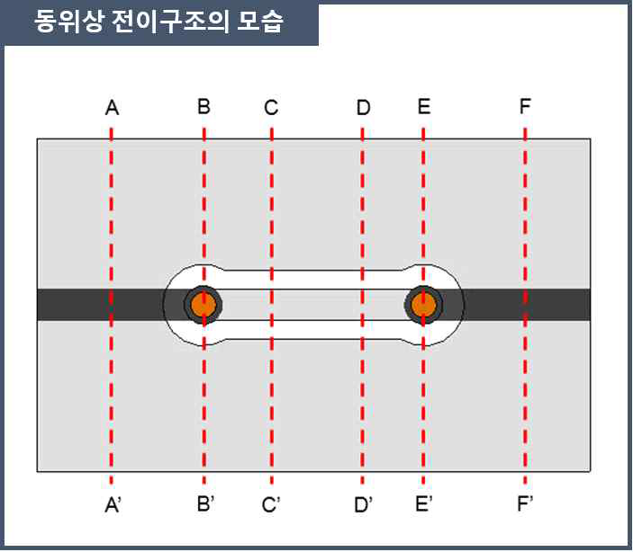 동위상 전이구조의 모습