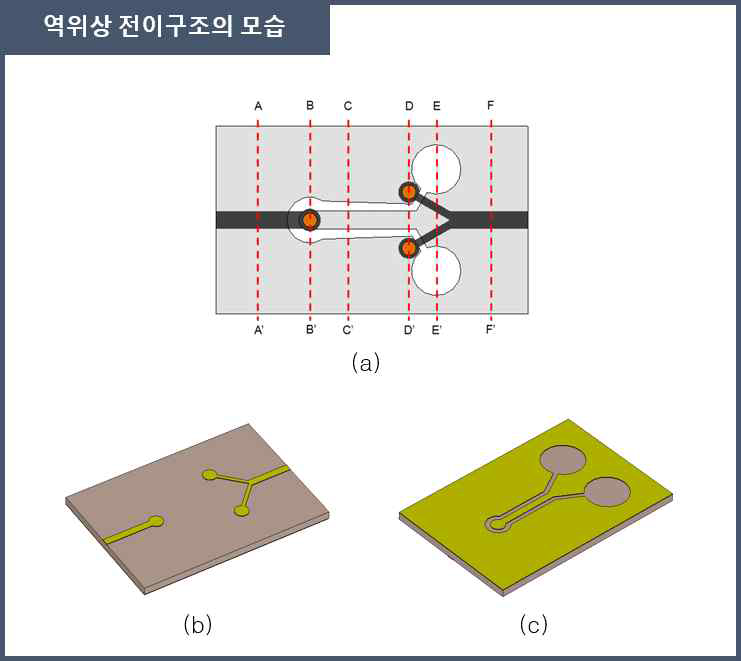 역위상 전이구조의 모습: (a) 구간별 모습, (b) 윗면, (c) 뒷면