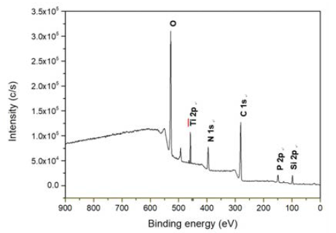 고순도 TiO2-DNA 바이오센서 표면의 X선 광전자 분광법 (XPS) 조사 스펙트럼