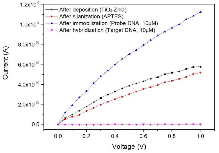 TiO2-ZnO 바이오센서의 전류의 변화를 측정한 iv curve