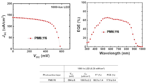 PM6:Y6 기반 소자의 LED 1000 lux 광전 성능 및 외부 양자 효율