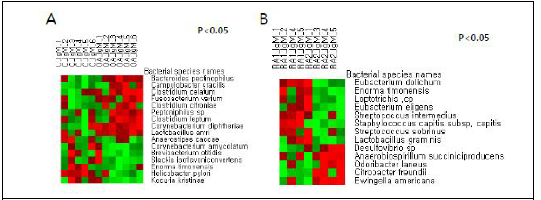미생물 항체 array 방법에 의한 OA/RA, RA 환자간의 관련 인체미생물 선별 결과 비교. A. 정상인(C)과 OA 환자, B. early RA(RA1)와 established RA(RA2) 환자간의 비교