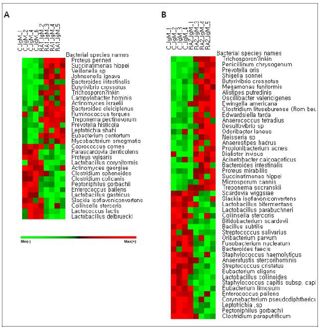 미생물 항체 array 방법에 의한 RA 관련 인체미생물 선별. A. 정상인에 비해서 early RA 환자에서 증가(빨간색) 혹은 감소(초록색) 되어 있는 인체미생물 (P<0.05) B. 정상인에 비해서 established RA 환자에서 증가 혹은 감소 되어 있는 인체미생물 (P<0.05)
