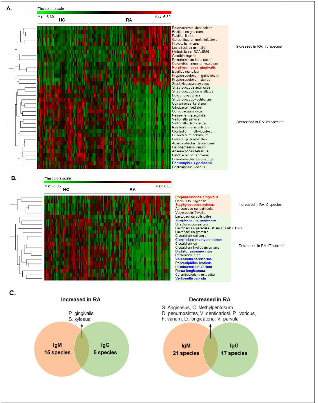 미생물 IgM/IgG array 방법에 의한 RA 관련 인체미생물 선별. IgM(A)과 IgG(B) array에서 정상인에 비해서 RA 환자에서 증가(빨간색) 혹은 감소(초록색) 되어 있는 인체미생물 선별(P<0.01), C. IgM과 IgG array 결과에서 공통으로 증가 (왼쪽), 감소(오른쪽)되어 있는 인체미생물