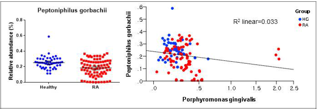 미생물 IgM array 방법에 의한 RA에서 P. gorbachii 감소 및 P. gorbachii와 P. gingivalis와의 상관관계 분석. P>0.05