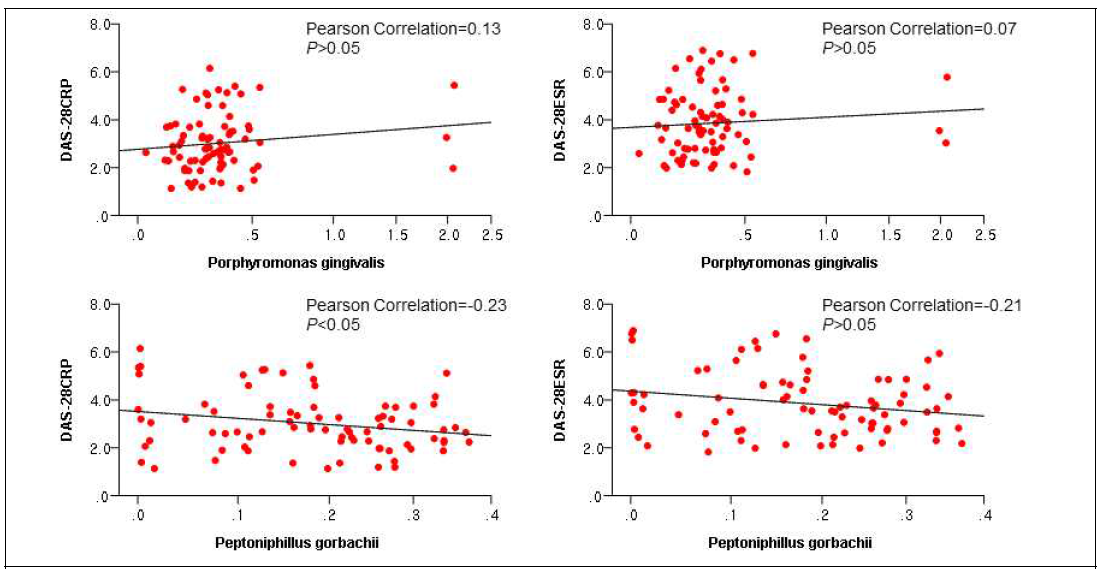 미생물 IgM array 방법에 의한 RA 환자에서 P. gingivalis 및 P. gorbachii 의 분포도와 DAS-28과의 상관관계 분석