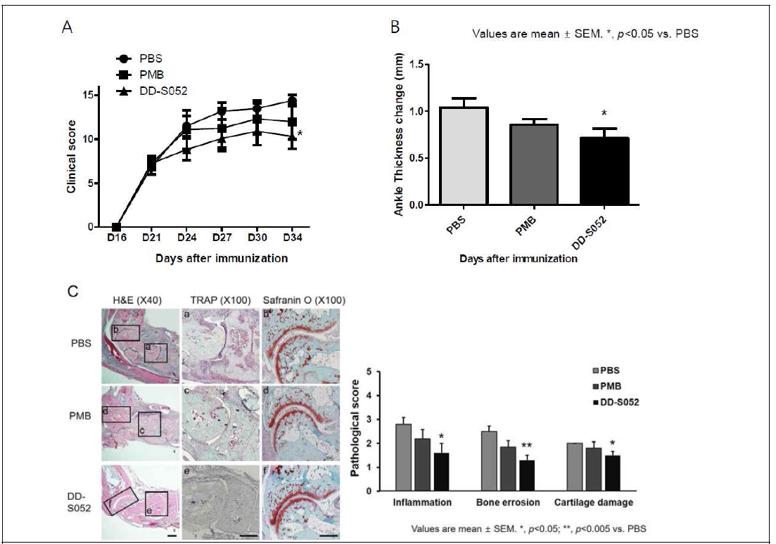 RA 마우스 모델인 CIA에서 LPS 억제제, DD-s052에 의한 관절염 억제 효과 실험. A. clinical score, B. ankle thickness, C. Pathologic assessment, LPS 억제제인 DD-S052가 관절염을 완화시켰다