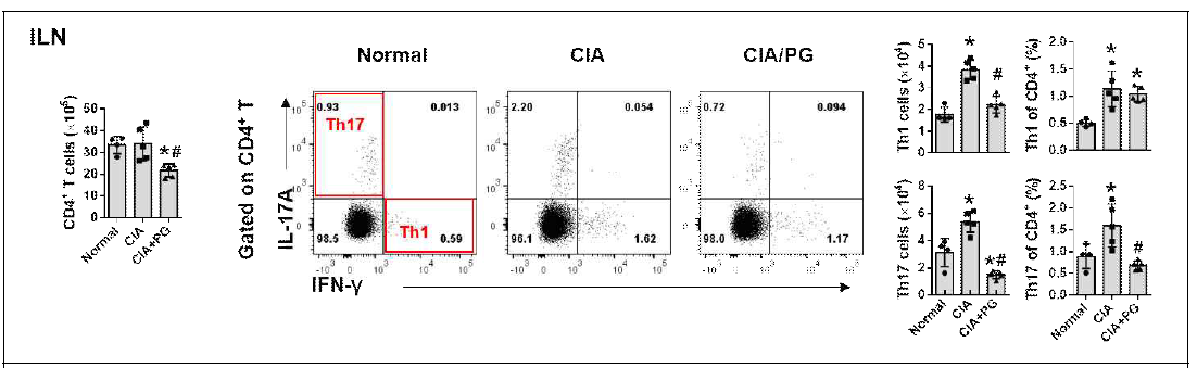 CIA 모델에서 PG투여에 따른 ILN Th1 및 Th17 cells 감소. *P<0.05 vs Normal, #P<0.05 vs CIA