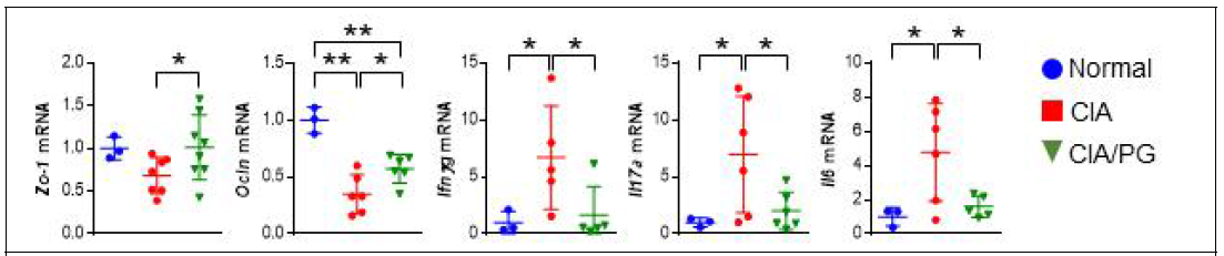 CIA 모델에서 PG에 의한 장상피세포 손상 및 염증성 싸이토카인 억제 평가. *P<0.05