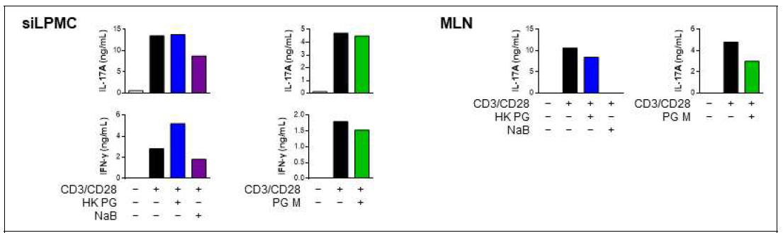 SiLPMC/MLN cells에서 PG 및 PG 배양액의 면역조절능 평가. HK PG MOI 1, PG M: 1%, NaB 0.1 mM(MLN은 0.5 mM NaB)