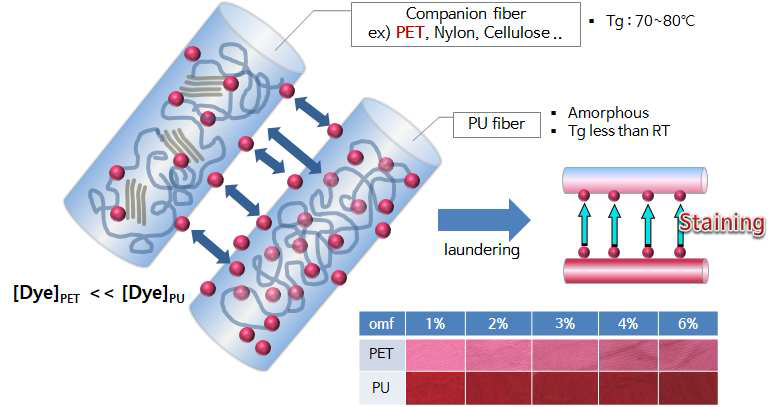 PET/Spandex 복합 소재의 염료 분배율과 염료 탈락에 의한 오염 현상