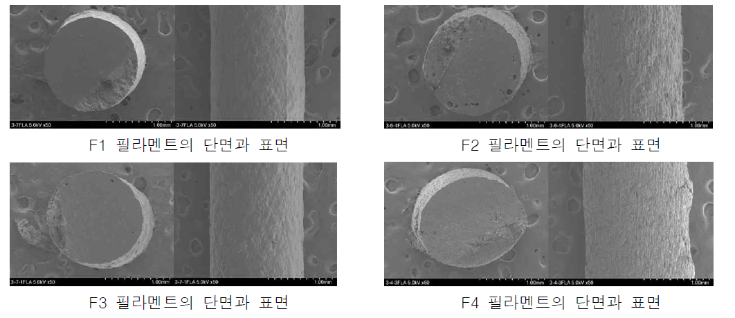 HME 장비로 제작한 필라멘트의 SEM 사진