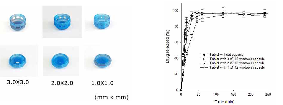 창문 구조체의 모양과 약물 방출에 미치는 영향