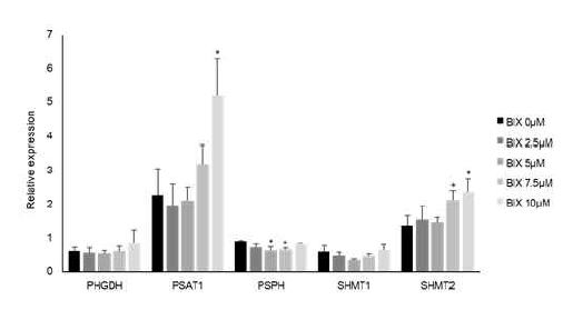 Increased mRNA level of SSP-related genes by BIX, Expression of SSP-related genes, in BIX treated H1299. Each value is the mean ± SD. *p<0.05 against BIX 0μM treatment