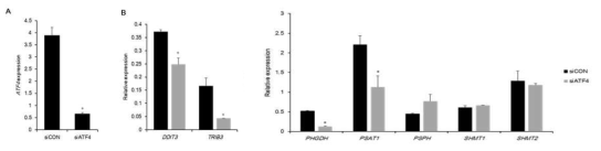 Decreased expression of DDIT3, TRIB3, and SSP-related genes via ATF4 silencing, Expression of SSP-related genes in H1299 with ATF4 silencing. Each value is the mean ± SD. *p<0.05 siCON versus siATF4 group