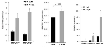 Validation of cholesterol synthesis-related genes by qRT-PCR. Expression of cholesterol synthesis-related genes with BIX treatment. Each value is the mean ± SD. *p<0.05, BIX 0 μM versus BIX 7.5 μM