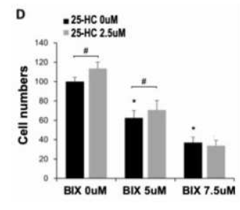 25-HC treatment partially recovered decrease of cell viability upon EHMT2 inhibition, MTT assay was conducted in lysates of H1299 with BIX and 25-HC treatment, based on 0 μM of BIX　and 25-HC as 100%