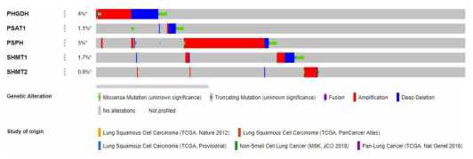 폐암 샘플의 세린 생합성관련 효소 유전자 이상 (cBIOPORTAL- TCGA 데이터베이스), 유전자 변이는 매우 제한적이며 PSPH가 가장 높으나 5%에 머무름)