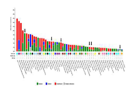 Genetic alterations of EHMT2 in cancer, TCGA