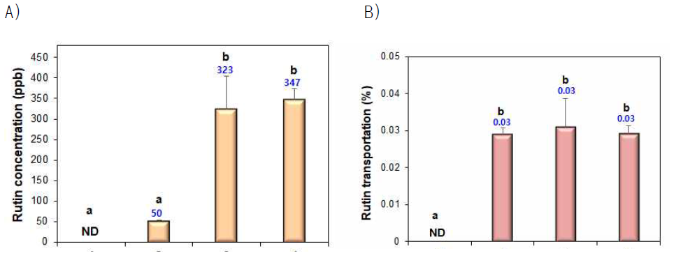 Caco-2 monolayer model에서 transport된 rutin의 절대적인 양A)과 비율B)