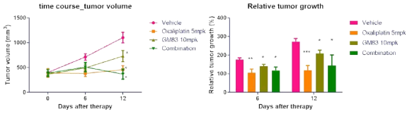 compound A와 oxaloplatin과의 병행처리에 따른 종양 억제 유효성 평가