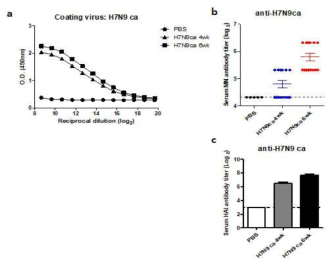 Antibody responses induced by H7N9 ca vaccine