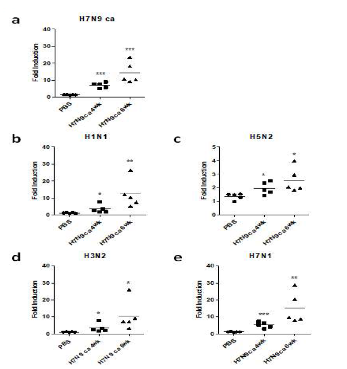 ADCC activity of antibodies induced by H7N9 ca vaccine