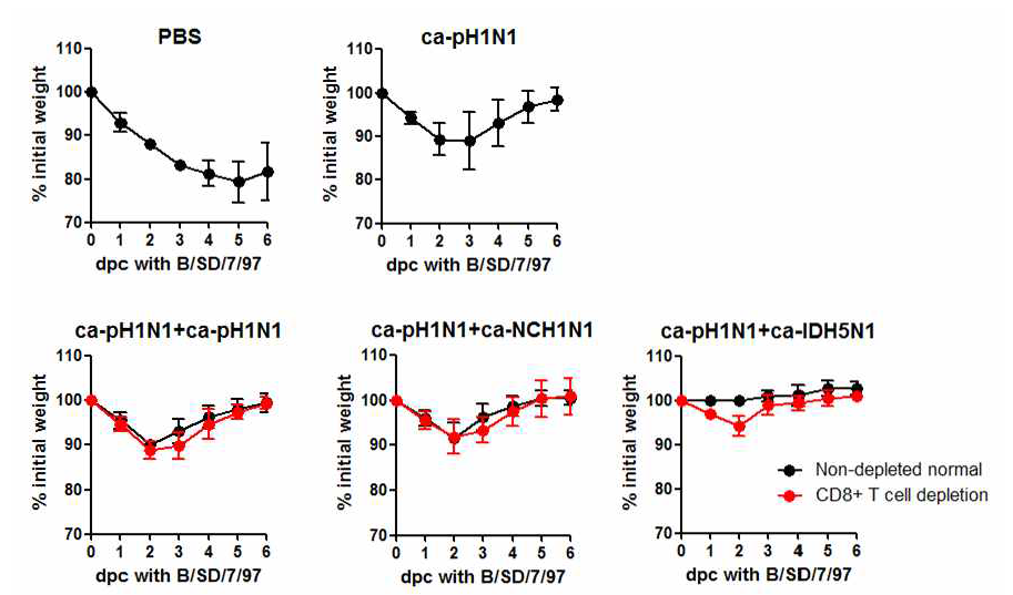 Heterotypic cross-protection against influenza B virus