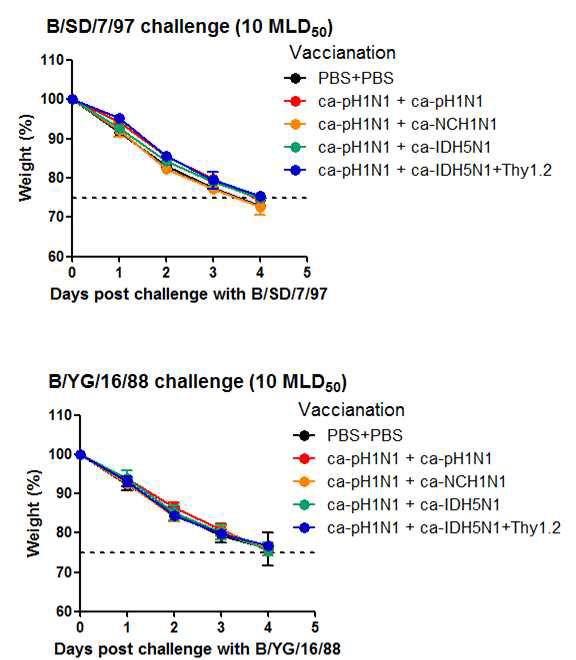 Heterotypic cross-protection against influenza B virus of high infection dose