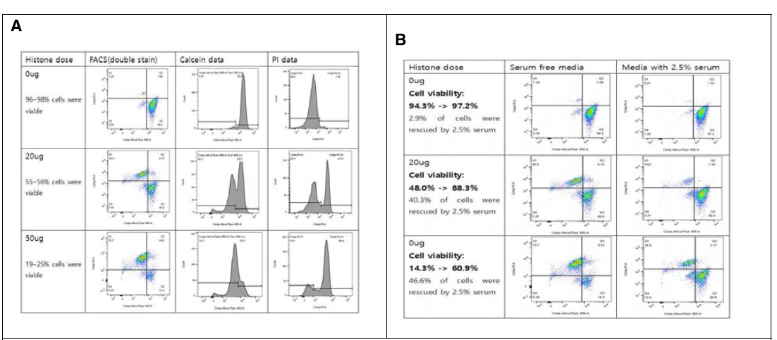 Histone cytotoxicity in macrophage. A. THP-1 cell을 이용하여 histone을 처리한후 PI staining이 되는 세포를 확인함. B. Serum을 투여하여 histone cytotoxicity의 neutralization을 확인함