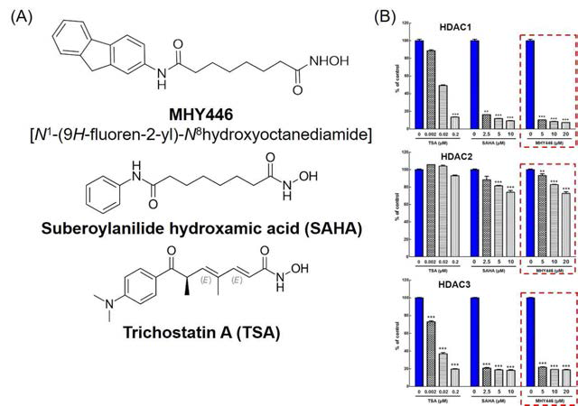 후보 HDACi MHY446의 구조(A)와 HDAC1, -2, -3 활성 억제 효능 결과