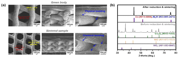 3D 프린트된 Co-19Ni-21W 폼의 환원/소결 전, 후의 (a) SEM 사진과 (b) XRD 결과