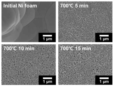 니켈 strut 부분 및 열 산화 시간에 따른 표면 SEM 이미지