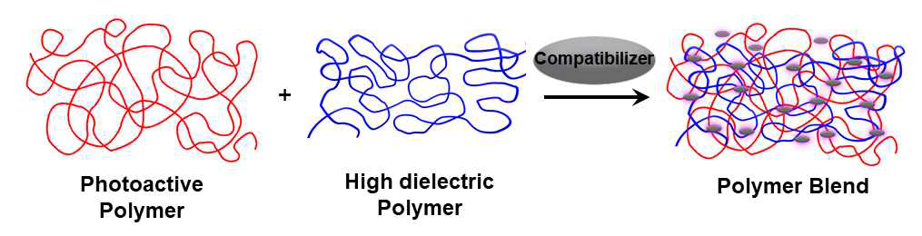 광활성 고분자와 강유전성 고분자의 상용화제를 이용한 고분자 혼합 모식도