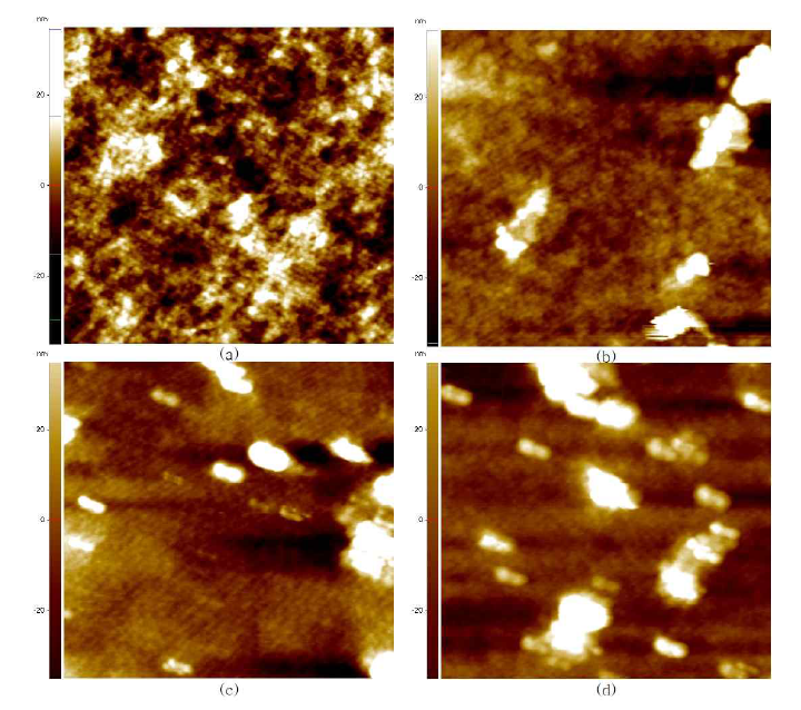 강유전고분자 비율에 따른 광활성층 고분자 블렌드의 AFM 모폴로지 분석 (a) 0 wt%; (b) 5 wt%; (c) 10 wt%; 그리고 (d) 20 wt%