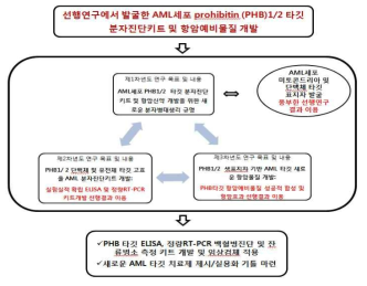 선행연구결과 기반 AML세포 PHB1/2 타깃 분자진단키트 개발 및 항암예비물질 발굴과제 개략도